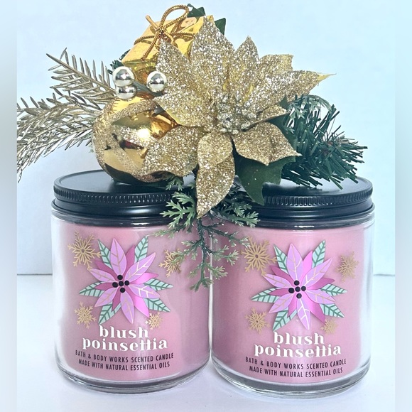 Bath & Body Works Other - Bath & Body Works BLUSH POINSETTA SINGLE WICK CANDLE 7 OZ. MASON JAR X2 NEW!
